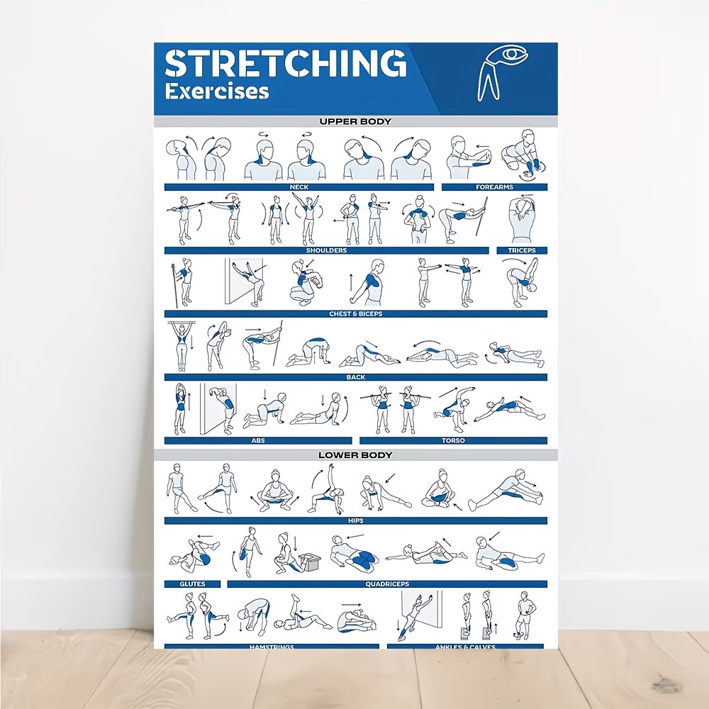 Sports Equipment Poster - 현대적인 라벨이 붙은 전신 스트레칭 운동을