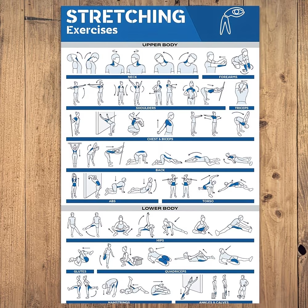 현대적인 라벨이 붙은 전신 스트레칭 운동을 하는 사람을 - Sports Equipment Poster 리뷰 및 가격